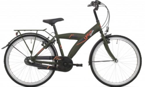 BFK Bike Fun H 24 R3 Elegance green