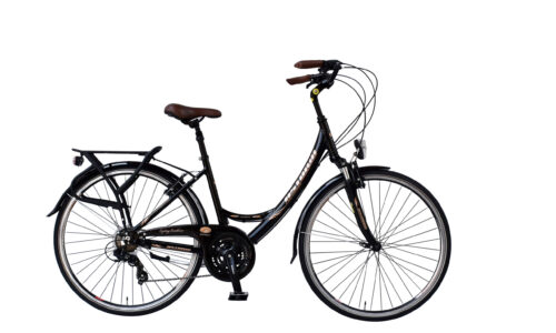 Astoria D 46 cm zwart shimano 21 sp Tourney