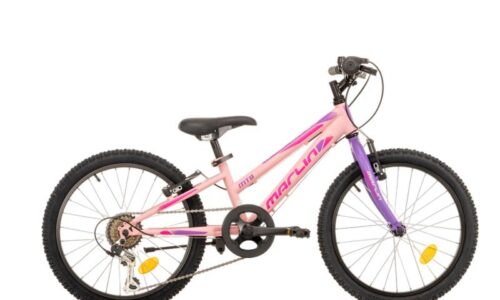 MTB Cedric geel zwart 6 speed