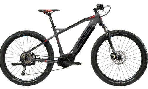 Lombardo E - Tonale  MTB gents 43 cm antra mat