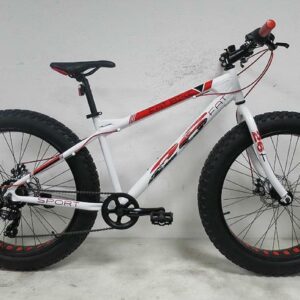 FatBike 26