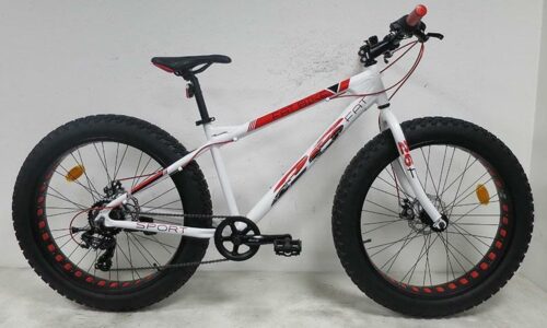 FatBike 26