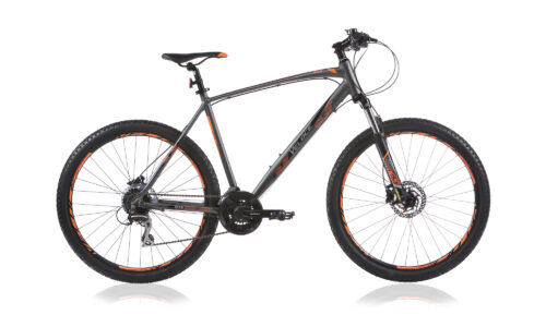 Outrage 603 H 43 cm antra oranje 24 sp