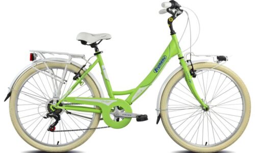 Picadilly 43 cm 26 inch wiel 6 sp pistache