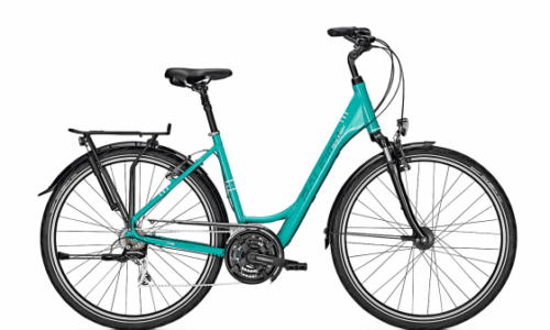 Raleigh Chester D 45 cm Bluegreen 21 sp