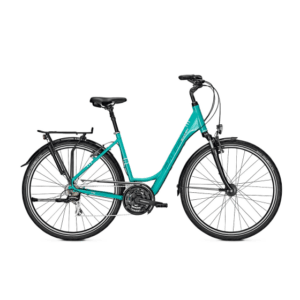 Raleigh Chester D 55 cm Bluegreen 21 sp