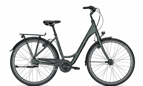 Raleigh Devon D 55 cm Nexus 8 Hydro