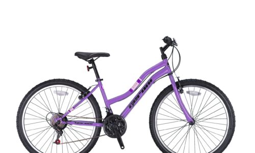 Swan  ATB  D 39 cm V brake pink 21 sp