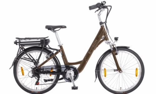 E- Vision Alsace D 38 cm / 24 inch wiel Brons Zwart7 sp