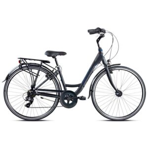 Cambridge D48  Shimano 7 sp blue grey
