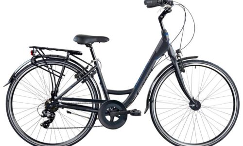 Cambridge D48 Shimano 7 sp blue grey