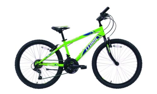 MTB Cedric groen zwart 18 speed