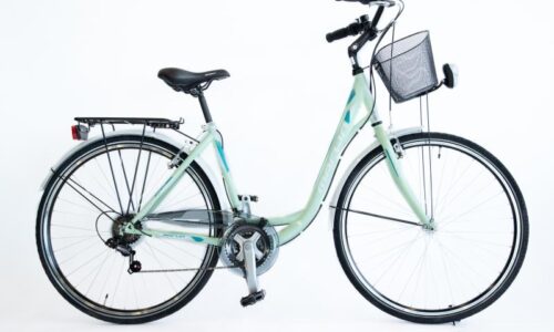 Excel Central Park D 48 cm 6 sp mat groen