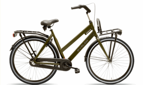 Avalon Style Dames 54 R3 Mat groen