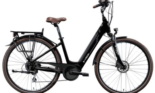 E-Vision Giverny D 43 cm black