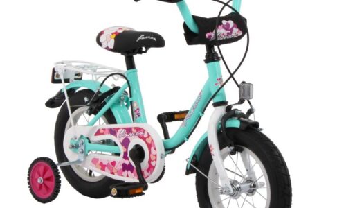 Lombardo Passion 12 inch mint groen vrijloop+2 handrem