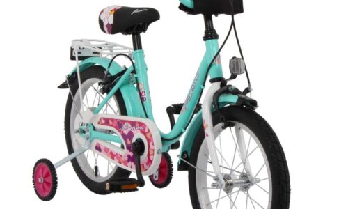 Lombardo Passion 16 inch mint groen vrijloop + 2 handrem