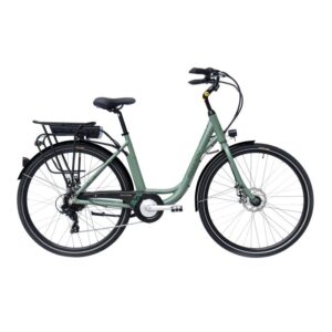 E- Vision Sydney D 46 cm groen 7 sp achterwielmotor