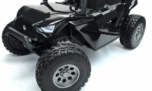 Clash buggy 24V 2-seater Black